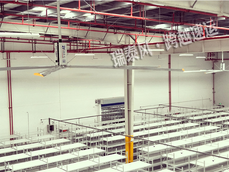 安全可靠的廣州大型工業(yè)風(fēng)扇廠家,瑞泰風(fēng)實力保證